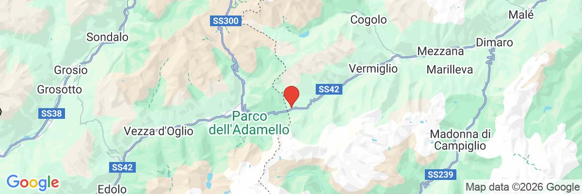 Na mape · Hotel Delle Alpi