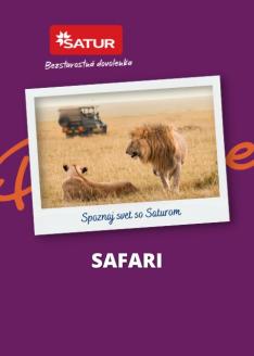 Safari