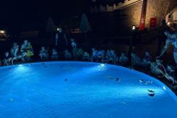 Animácie pre Hotel Limak Cyprus
