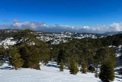 Pohorie Troodos so snehom na ostrove Cyprus.