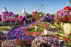 Dubai Miracle Garden, Spojené arabské emiráty