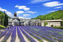 Abbaye de Senanque, Francúzsko