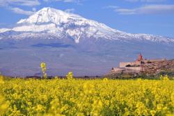 Ararat, Arménsko