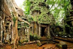 Rozprávkový chrám Ta Prohm, Kambodža