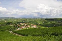 Langhe, Taliansko