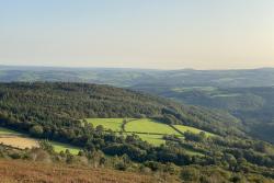 Dartmoor