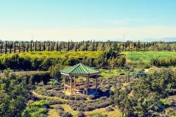 Záhrada CyHerbia v Avgorou, Cyprus