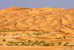 Rub Al Khali, Omán