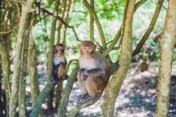 Národný park Soberania, Panama