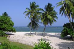 Pláž Tiwi Beach