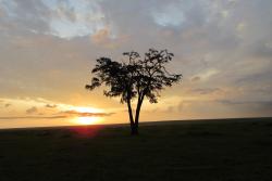 Východ slnka v masai mara