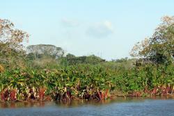 Mokradiny na kostarike