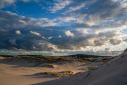Pieskové duny v národnom parku