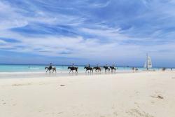 Jazda na koni na Zanzibare.