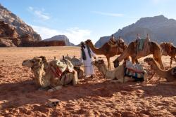 Jazdu na ťave si môžete užiť v Petre aj na krásnych púštnych dunách vo Wadi Rum.