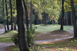 Holandský národny park Hoge Veluwe.