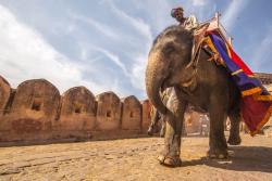 Jazda na slonovi v Indii.