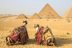 Pyramídy a ťavy, Káhira, Egypt.