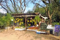 ovocné trhy keňa
