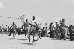 festival v Lamu