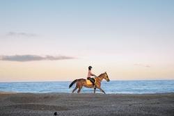 Jazda na koni na pobreží Fujairah.