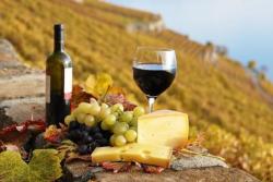 Talianske víno vo vinohradoch v Apúlii.