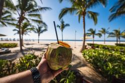 Čerstvý kokos v ománskom Salalah