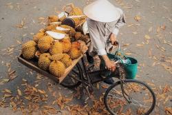 predavač durianu