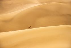 Pieskové duny Varzaneh v Iráne. 