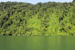Rieka Rio Dulce. Guatemala. Foto: unsplash.com
