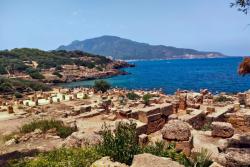 Historické ruiny mesta Tipaza pri Stredozemnom mori v Alžírsku. Foto: unsplash.com