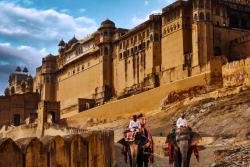 Slony a pevnosť Amber, India