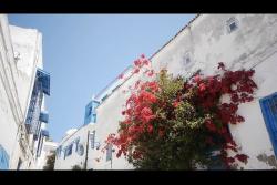 Tunis - Kartágo - Sidi Bou Said