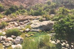 Riečka, zeleň a púštne hory vo Wadi Tiwi, Omán