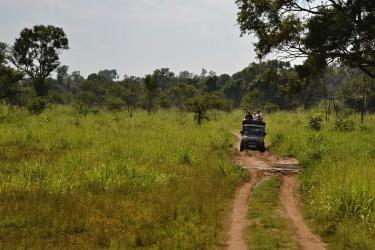 Jeep Safari Thassos, Thassos