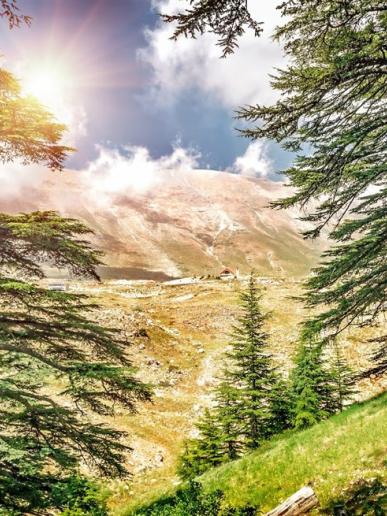 Libanon - krajina cédrových stromov - 