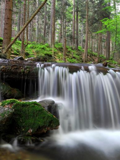 Krásy Šumavy, poznávací zájazd