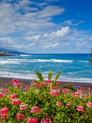 Kvety, palmy, piesková pláž a oceán na Tenerife.