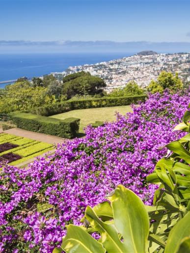 Botanická záharada, Funchal, Madeira, poznávací zájazd, Portugalsko