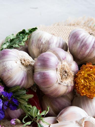 Festival cesnaku v Buchloviciach - cesnak