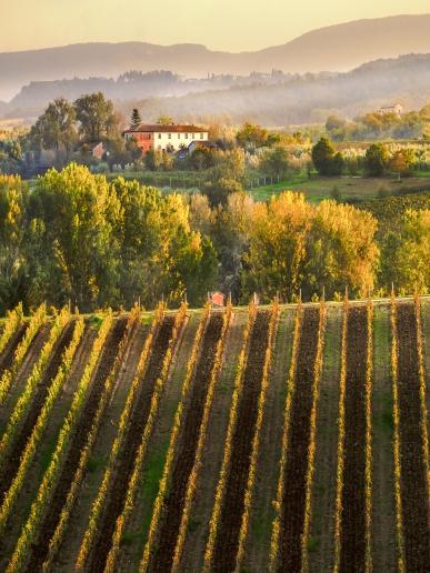 Toskánska krajina, poznávací zájazd, Taliansko