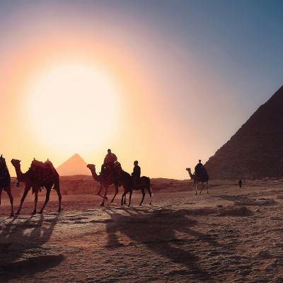 Pyramídy v Gíze a ťavy.