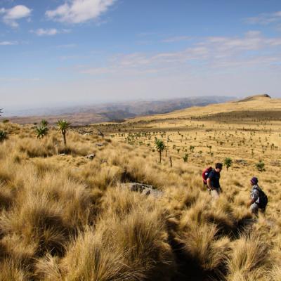 Dvaja muži v Etiópii v suchej tráve.
