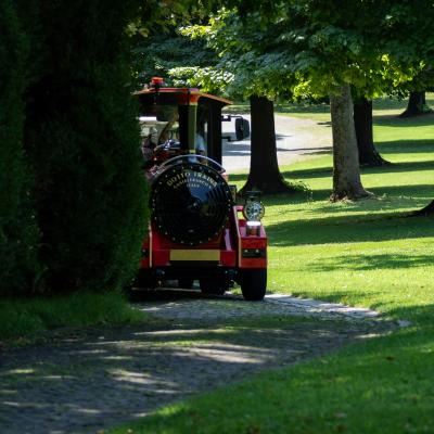 Vláčik a stromy v parku Parco Giardino Sigurta v Taliansku.