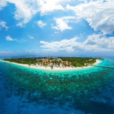 Maldivy