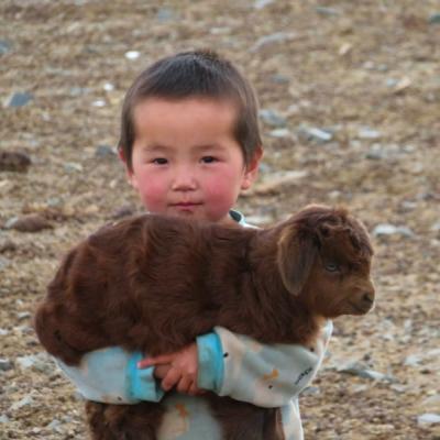 Malý chlapček držiaci hnedé kozliatko.