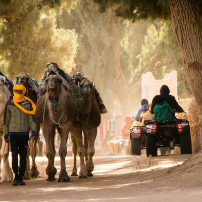 Ťavy idúce cez mesto v Tunisku.