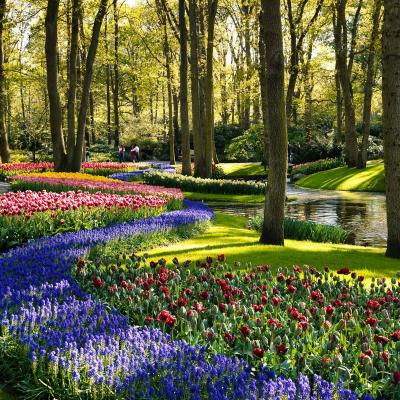 Park so stromami a kvetmi v Lisse.