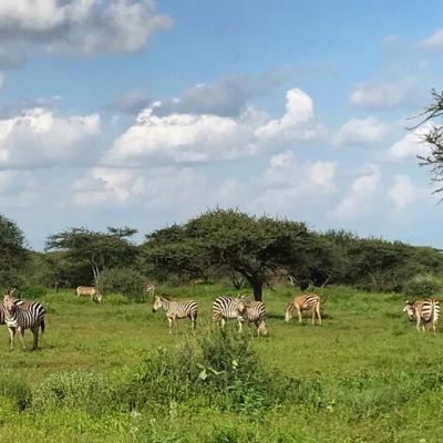 Kruger National Park