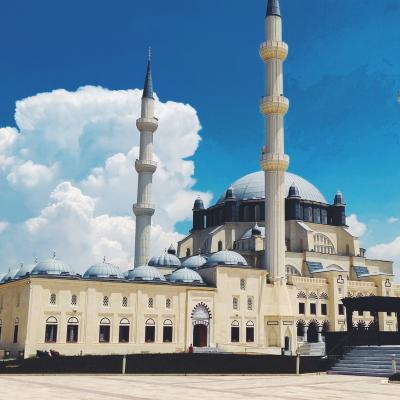 Mešita Hala Sultan camii v Nikosii.